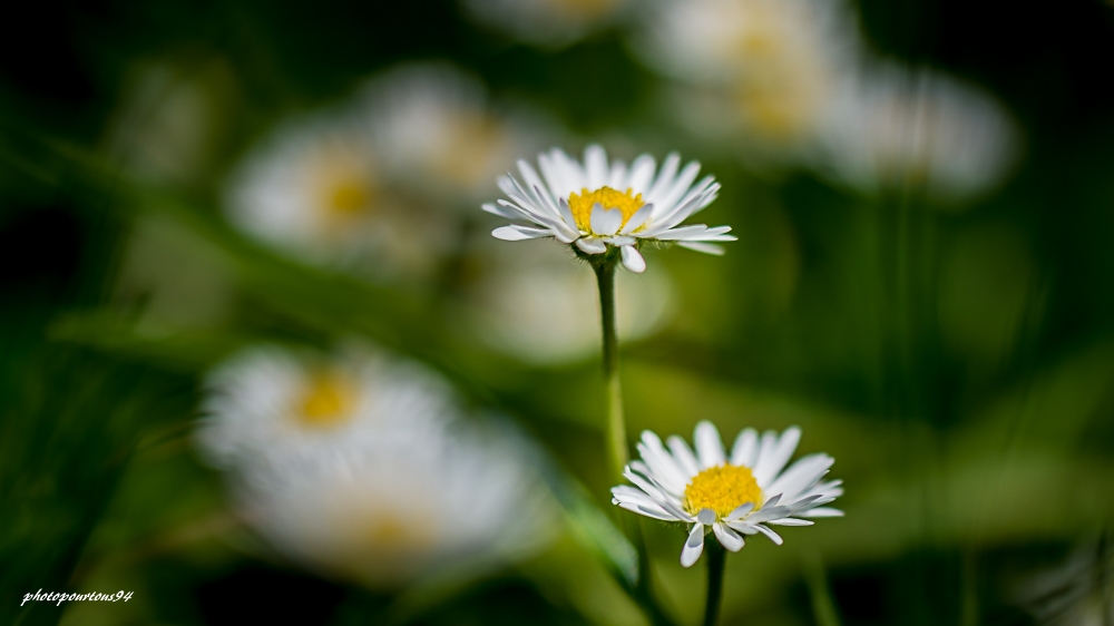 _-9.jpg.c266b363c94f0e6b83f600d3fe518436.jpg