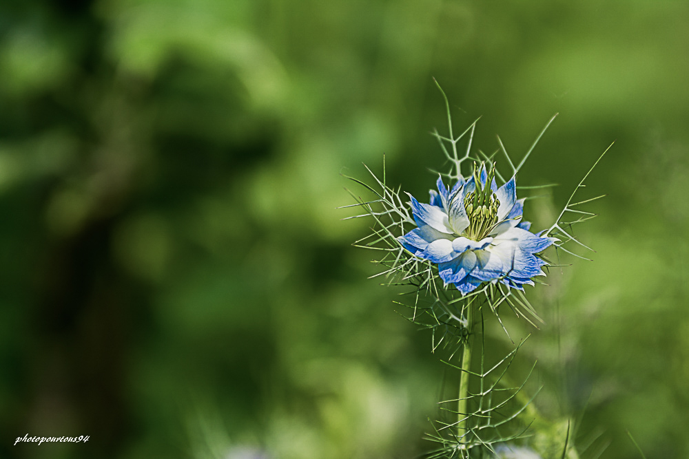 _-9.jpg.f545cd64d4184f5f52ffc30fb830c8f6.jpg