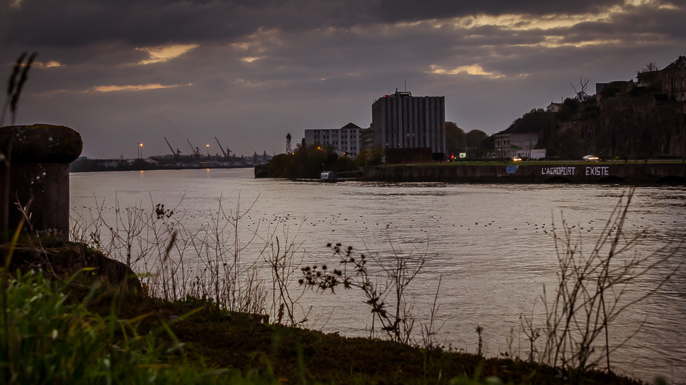 _DSC6311.jpg.62cc1fd6246817ab448f6d9785589e0b.jpg