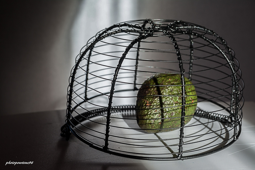 avocat.jpg.0ffcb5b482f658852c96fffd746d1b40.jpg