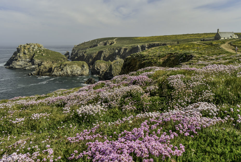fleuri.jpg.1067405a75a9a5bfcf7b74d2113787c7.jpg