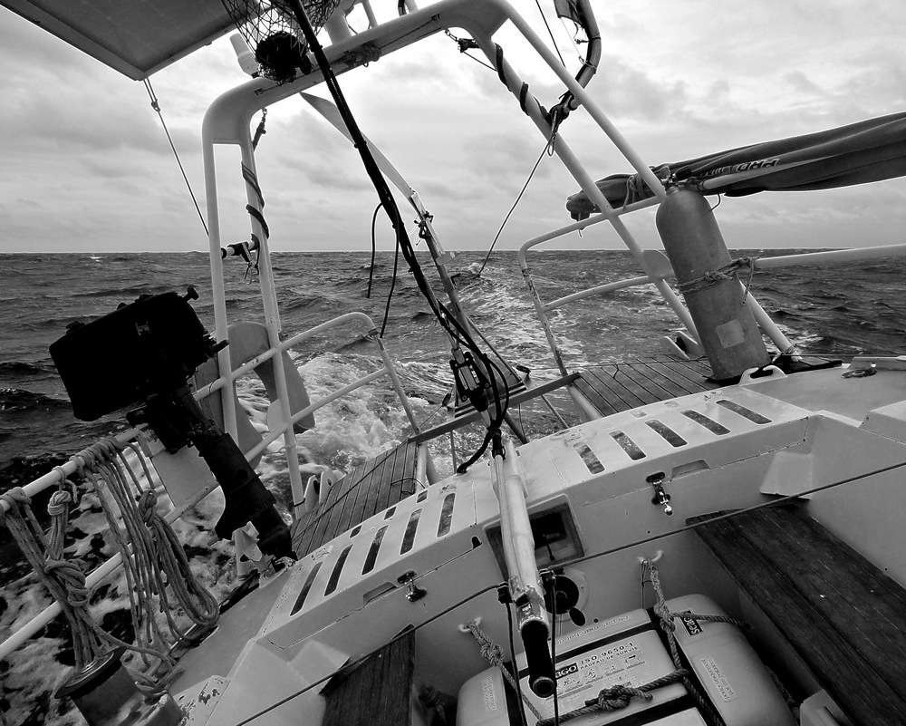 DSC04859.jpg.a4ce593360eb09fcca15c446161775fa.jpg