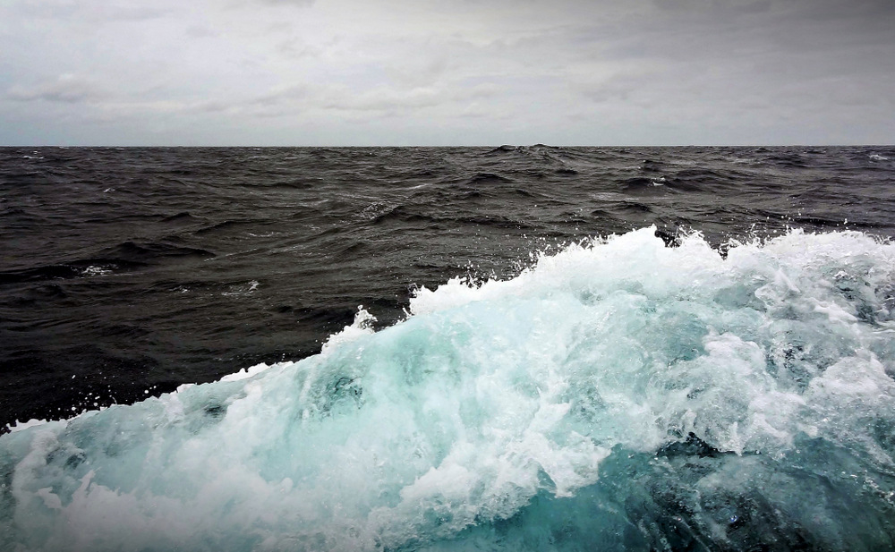 DSC04894.jpg.03688185708b1d4d508adf9ea7f13802.jpg