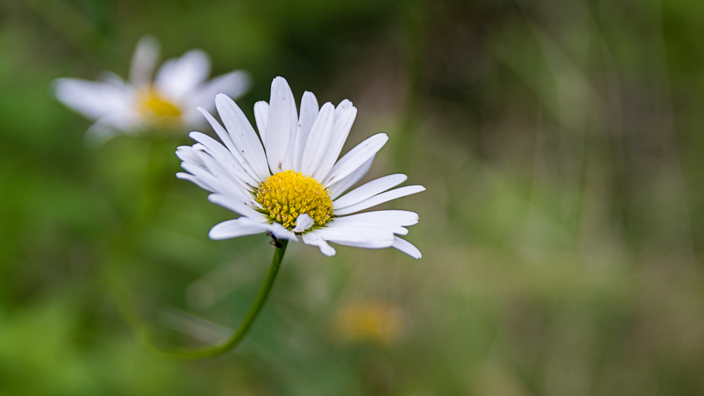 _-15.jpg.f082c761b5ff961e37b5918b8529f460.jpg