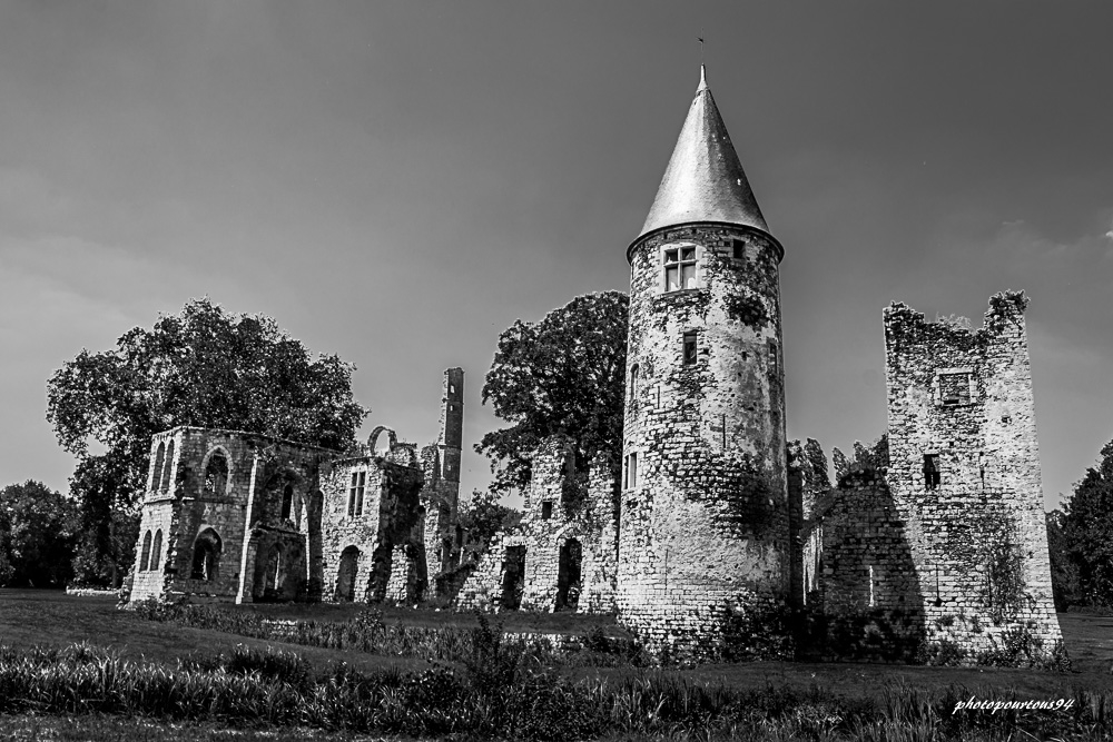 _-18.jpg.8dbbd18e5f1b09d87b464ef7dd347df5.jpg