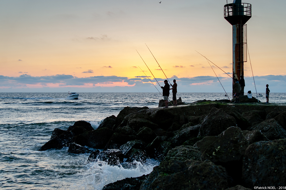 _DSC5673_WB.jpg.d5078b43f72afb95f9f9caac2147ba22.jpg