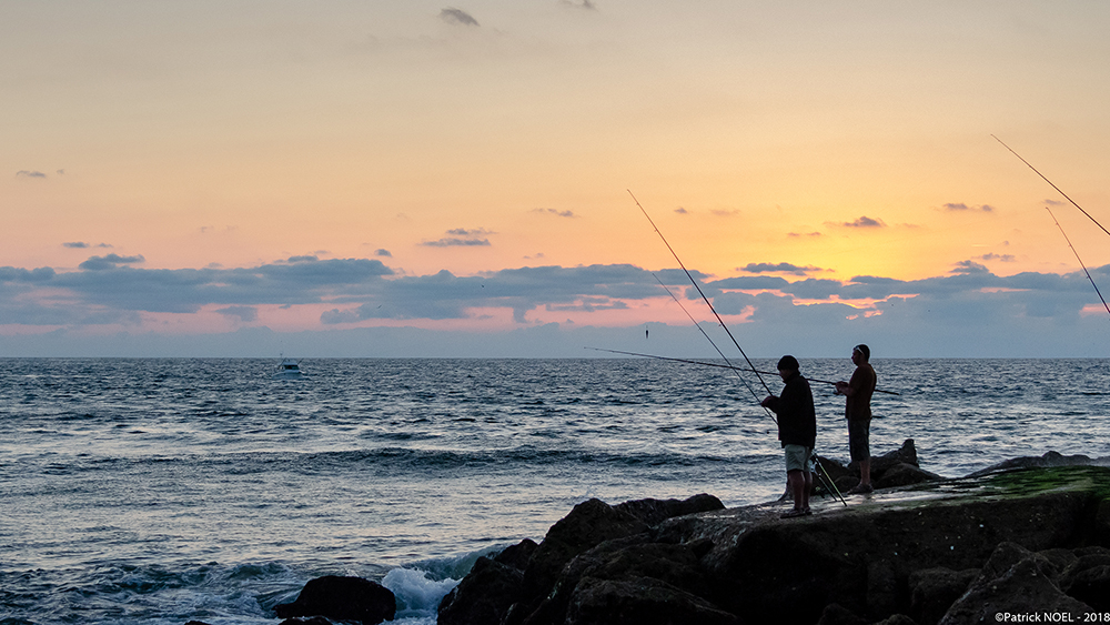 _DSC5680_WB.jpg.8d7339f92afba13e2259e2cb7a6da2a6.jpg