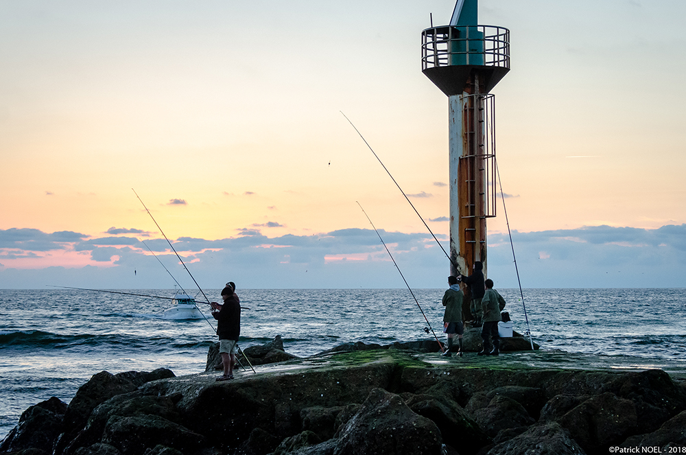 _DSC5683_WB.jpg.0a68c08fc7a1d5292eaa23efed7db35a.jpg