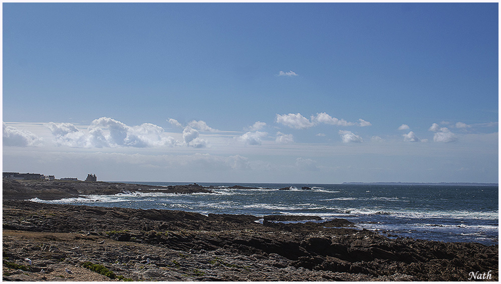 87235792_CtesauvagedeQuiberon_9c.jpg.7fe53ec27ff5bcf7ffbc4f6963d9d961.jpg
