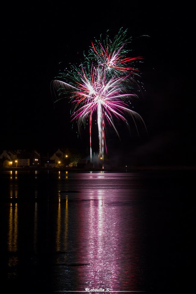 IMG_9814.jpg.f94d770645d7f273583408bfa34d472c.jpg
