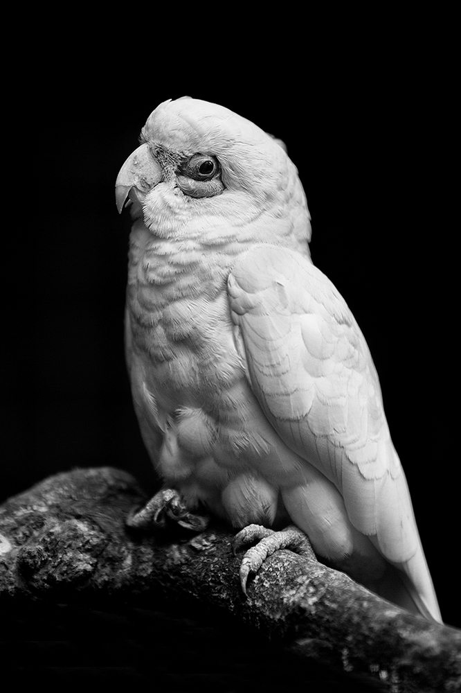 STEF0770-Modifier-2.jpg