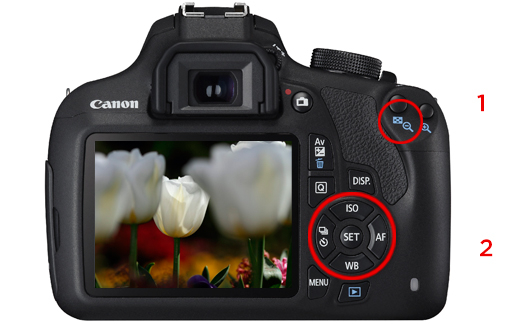 canon.jpg.9adad12d24bcc31b28bf32aef0ef5de1.jpg