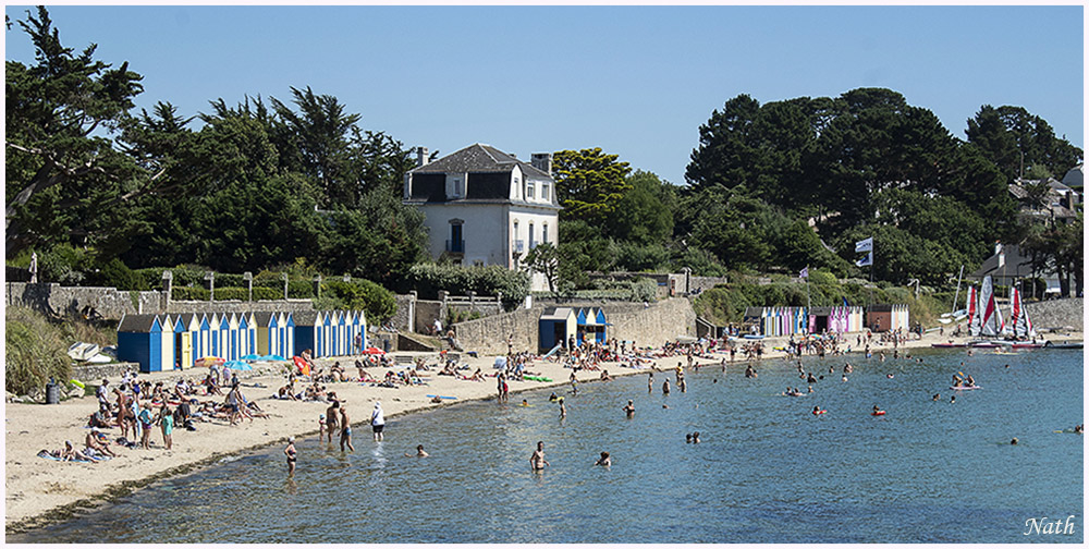 1420408892_Plagedelleauxmoinesc.jpg.17be0f4c605044ae768d394a030254e8.jpg