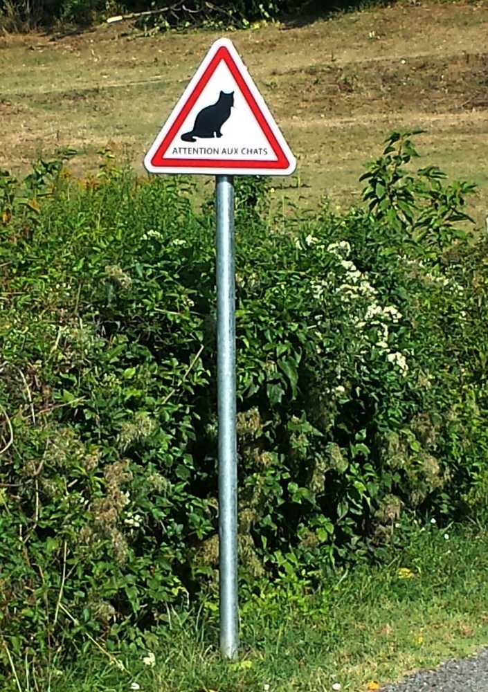 20180807_095328.jpg.ebdb4c84e08880d0f2da240b53e8676e.jpg