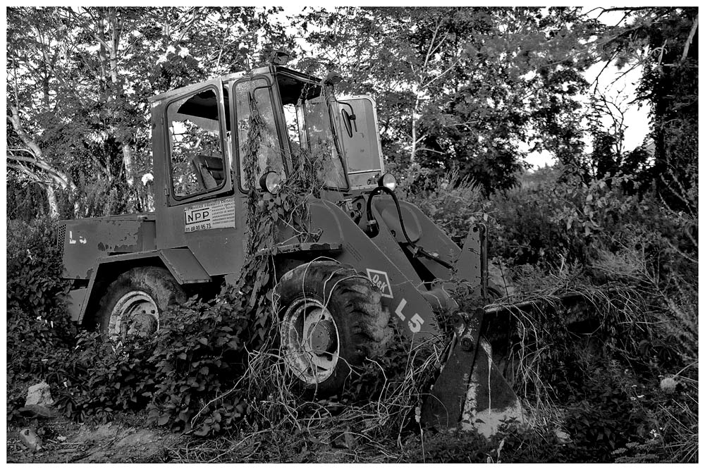 443395035_dfi-noirblanc.jpg.5103b110f1f8d27359dabb6f7e5c555a.jpg
