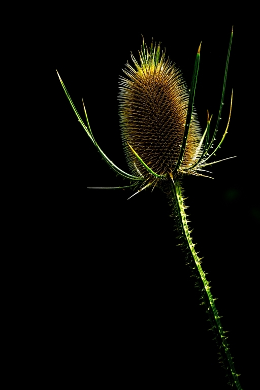 971904904_P1100624-Modifier(Copier).jpg.b77f3493b32689889e04ea6f34b9f555.jpg