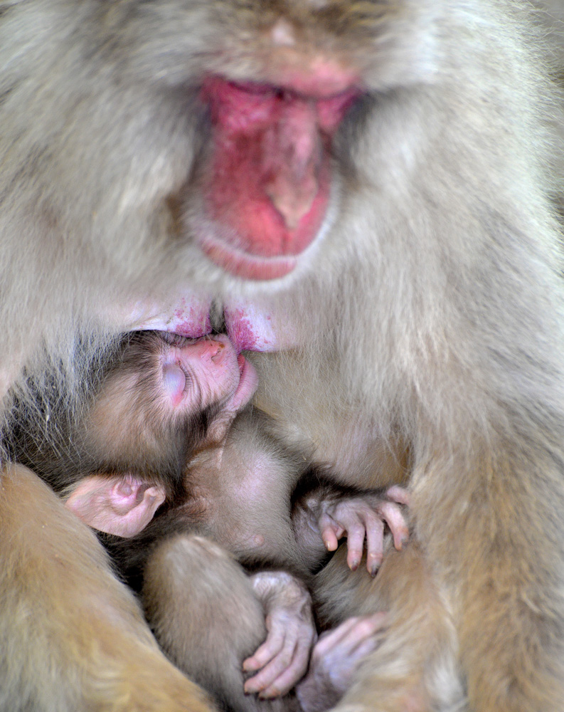 DSC_6281_DxO.jpg.a2e48ffd86c8926e0e4bd44e70915610.jpg