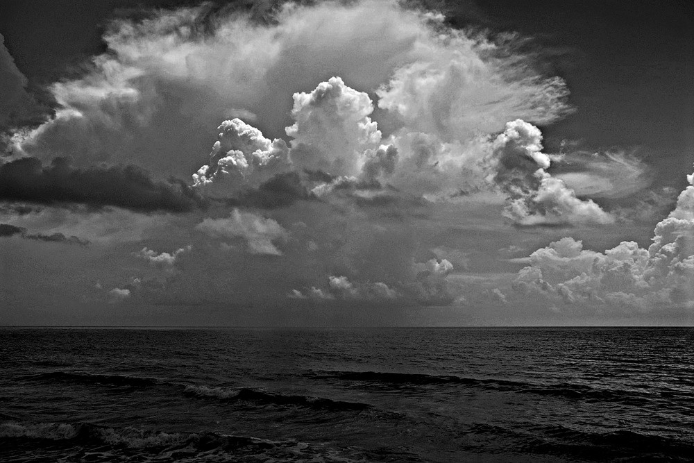 IMGP1033-004.jpg.8031639376582a92f14bacd2f6151226.jpg