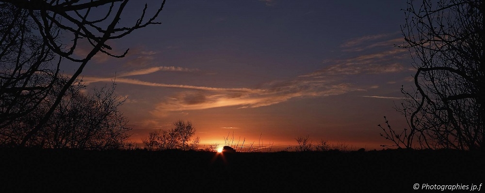 IMG_0001DxO.jpg.8078219f7a2dd066f6156b10a346c704.jpg