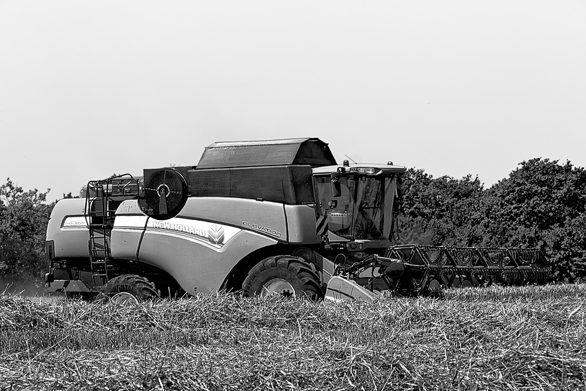 P1020705_VHA_DxO_lzn.jpg
