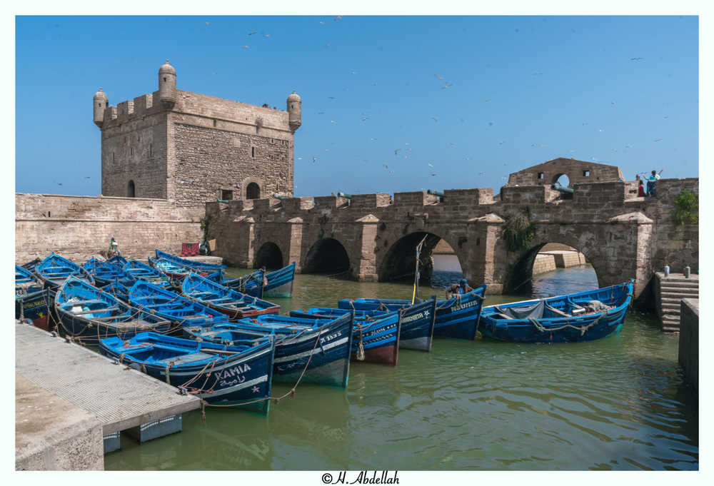 SON03072.jpg.af5ebae2f7f002df9c9a646705e24b1a.jpg