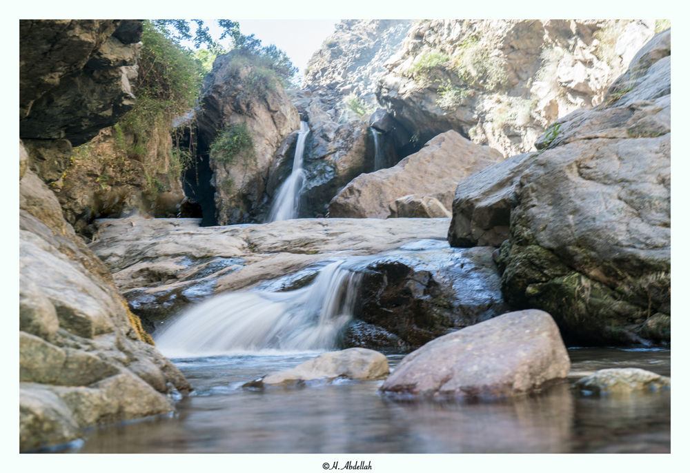 SON03772.jpg.d7d6f5acef4c8e4ece12e74ba895425e.jpg