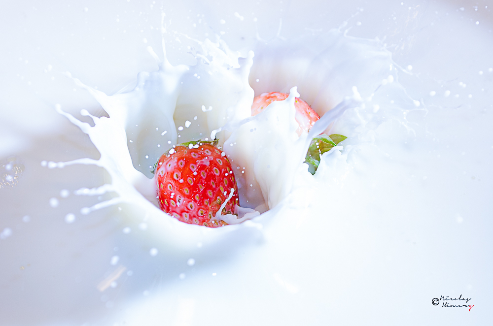 splash-2.jpg.64d769c9f2104caf1e1258ad8a66d097.jpg