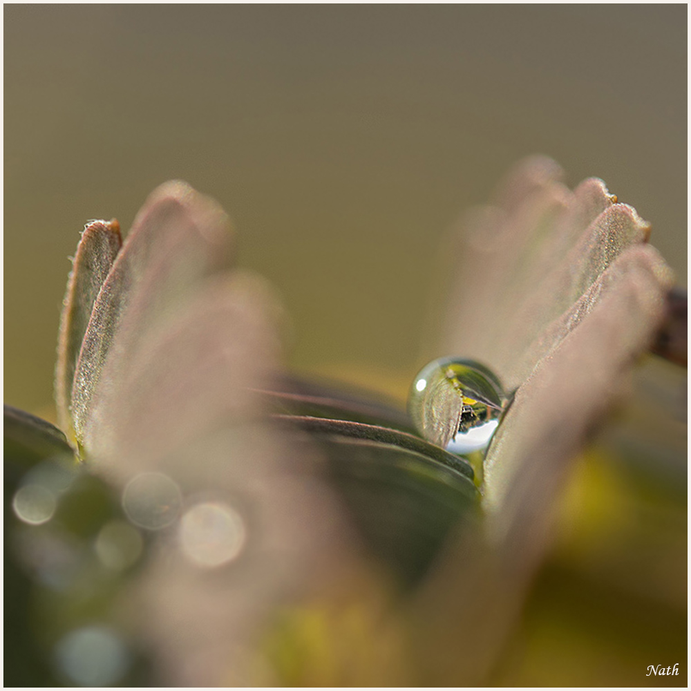 601104018_Transparence.jpg.587fd2878510c38995224ecdec9ae5ce.jpg