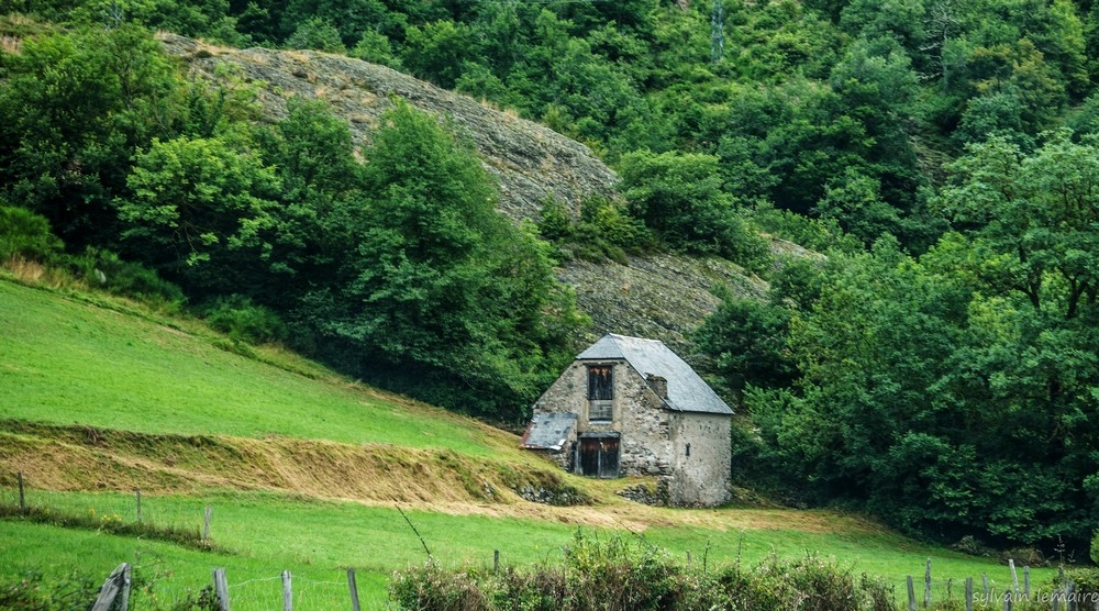 P1010651.jpg.d6aef7a436abb3d9d52b7df3d2baddf8.jpg