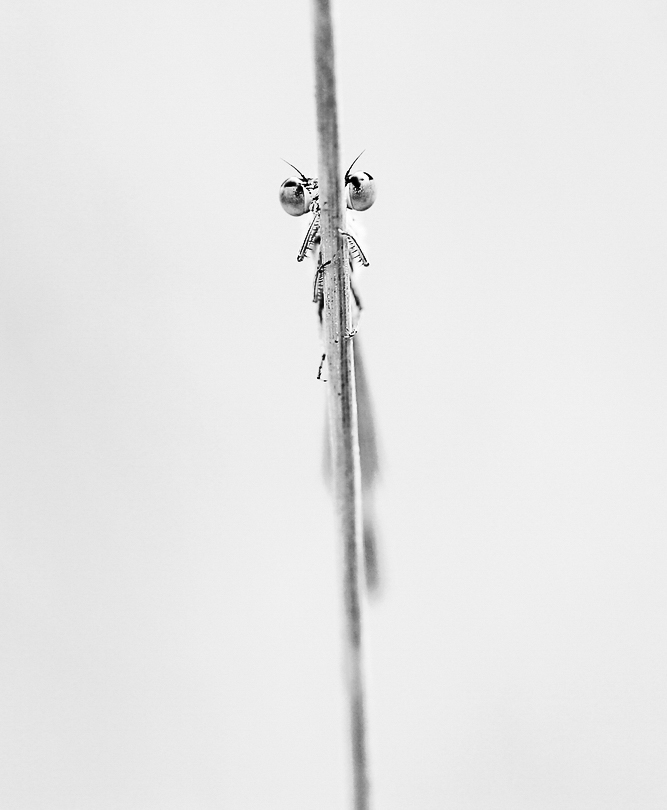 _-3.jpg.5ebaf538005b4f196707ed238e5bf627.jpg