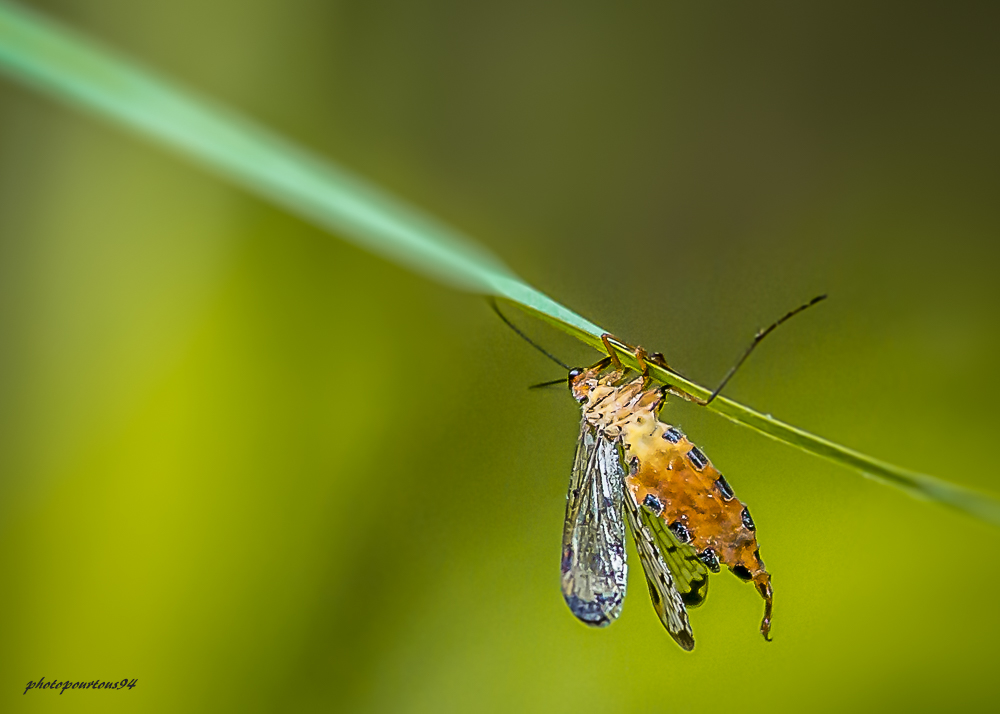 _-3.jpg.7f6d62671edcecfa8b91ad399e485cd0.jpg