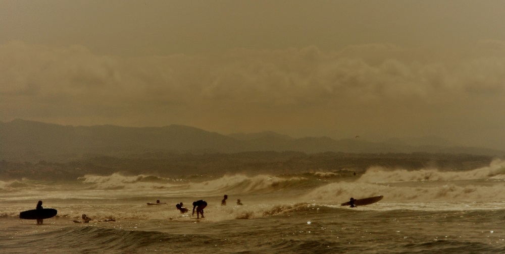 surfeur.jpg.4dd6faf00d7410583af7c987533f3ce8.jpg
