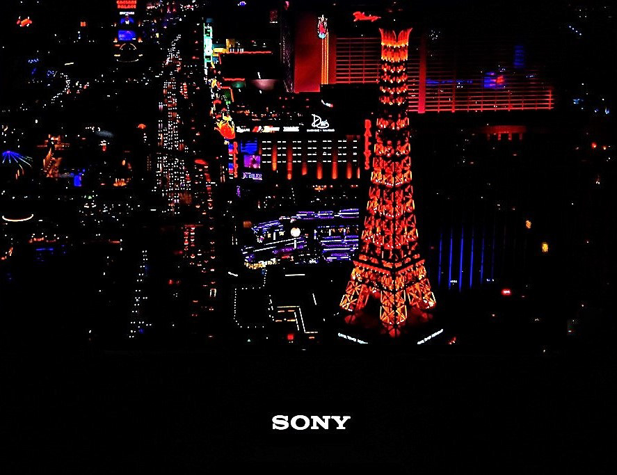 6133801_IMGP3752(4).jpg.7730e322f255c9fed69e667cd8931e23.jpg