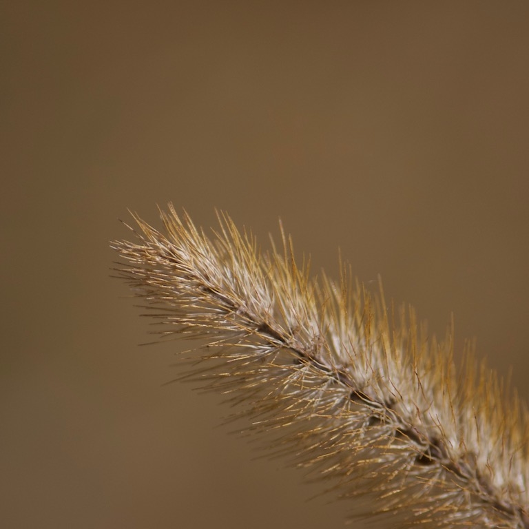 _MG_0434.jpg.e238c63dcdca665c22000f6e945d5f8b.jpg
