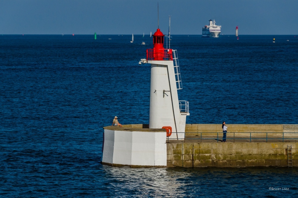 _DSC4306-2.JPG.6024bc8d4a8cf89be56568dbfaafa85f.JPG