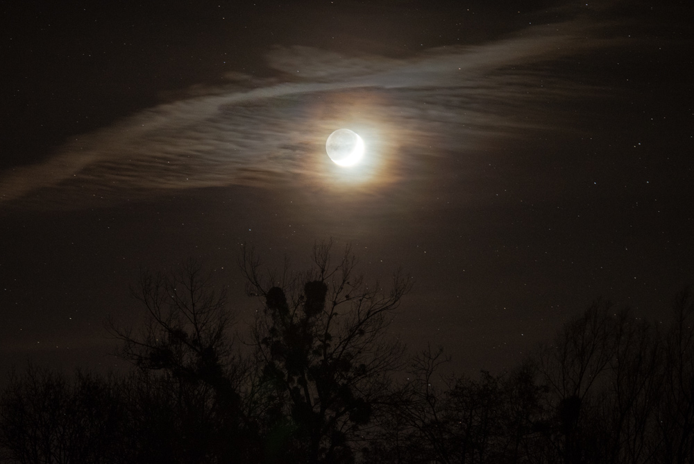 _DSC8608-HDR.jpg.4ff5c67ad31f36fbcf410b830cb25fd5.jpg