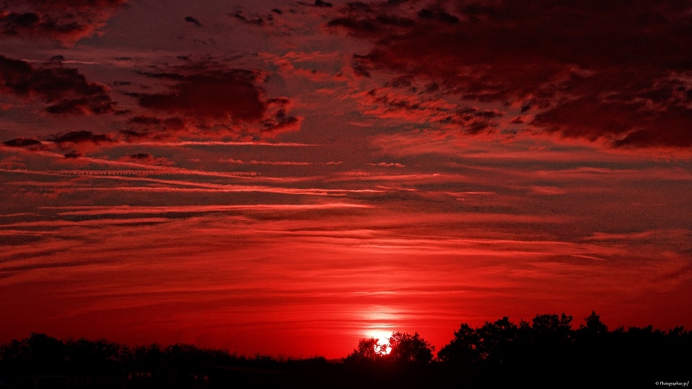 1318340654_IMG_2370DxOA.jpg.5e5f7f8ad8f8a2758b1fefd977792cc2.jpg