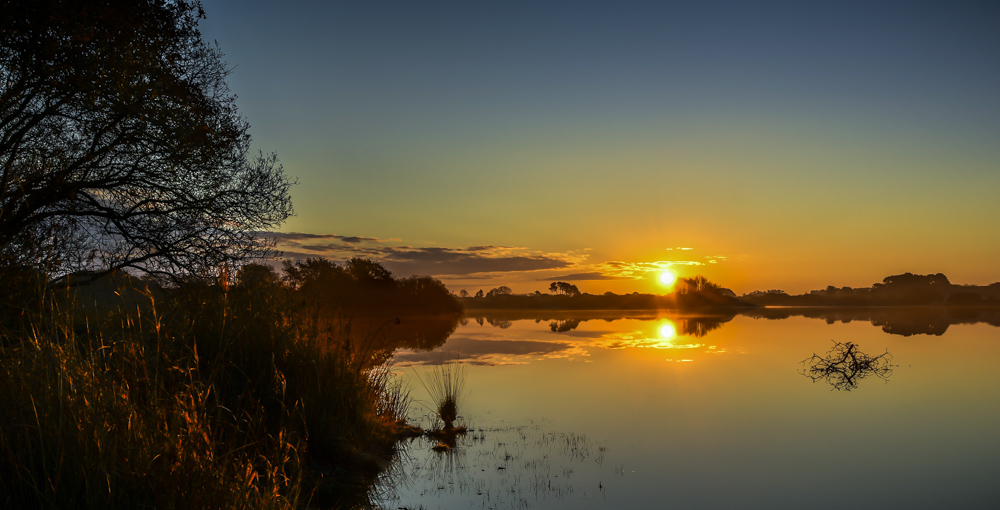 20112018-_DSC1800.jpg.bda826d324ae82fddc822e86627c069f.jpg