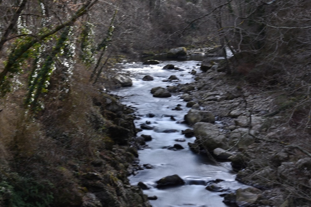 DSC_4685.JPG.e8ad642baf3fbead0079231d2032e059.JPG