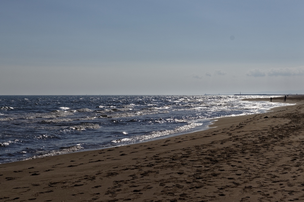 1608667342_plage2.jpg.bd5f162d40c9a52c59864091d2c1e338.jpg
