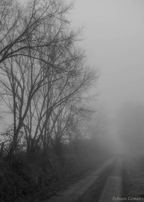 1736115982_sanstitre-0046.jpg.469280a14b42b6eed83efabd0e590731.jpg