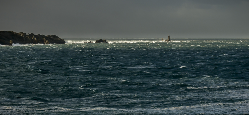 27012019-_DSC2171.jpg.4161f64aa7e33e768ef4a1fa137baabd.jpg
