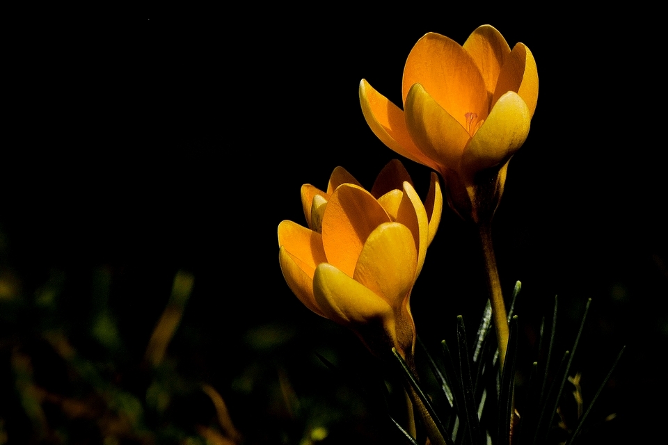 704295113_23022019-P1110304-Modifier(Copier).jpg.6868e09f072a58b0cd0c598d282d6dc9.jpg
