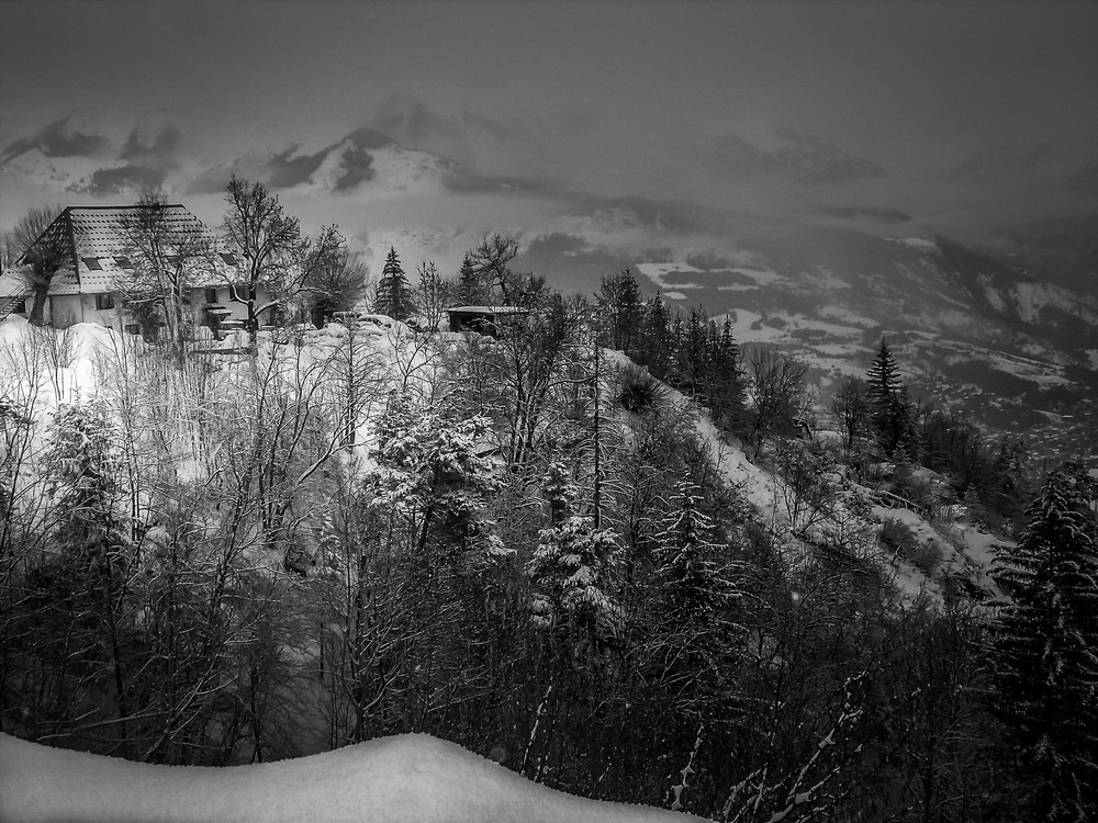 DSC08106-2-Modifier.jpg.054e491b30d733805cbac94b84270bd3.jpg