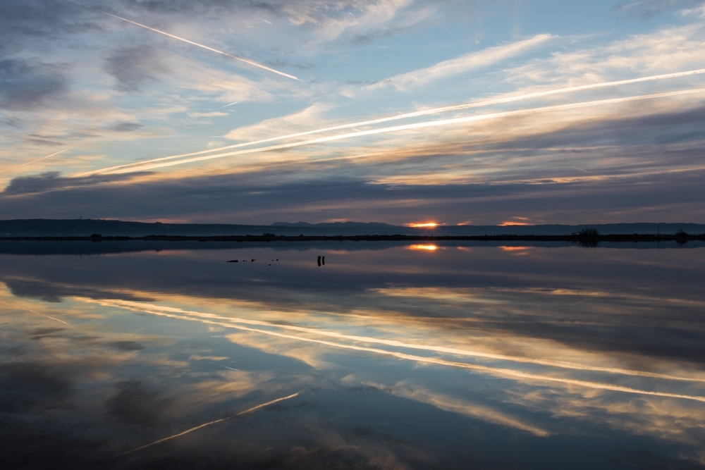 Reflets.jpg