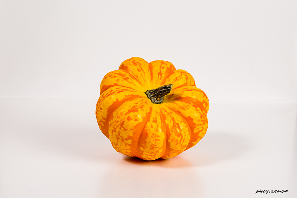 _-3.jpg.bdb0284d166e6ec182565ef70ce7cbb9.jpg