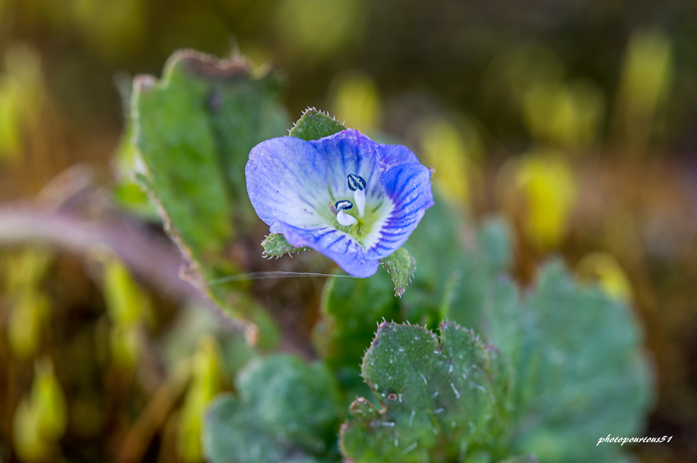 _-4.jpg.99ea0d138c504cb136264a64183febe1.jpg