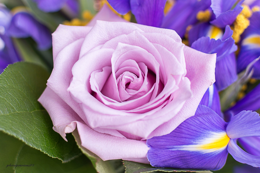 _-5.jpg.8f4ab16993e11f49a669bb8fecef651e.jpg