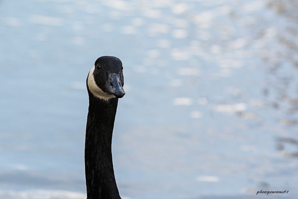_-6.jpg.fe66bb8450425e13d7ca7f10b844782a.jpg