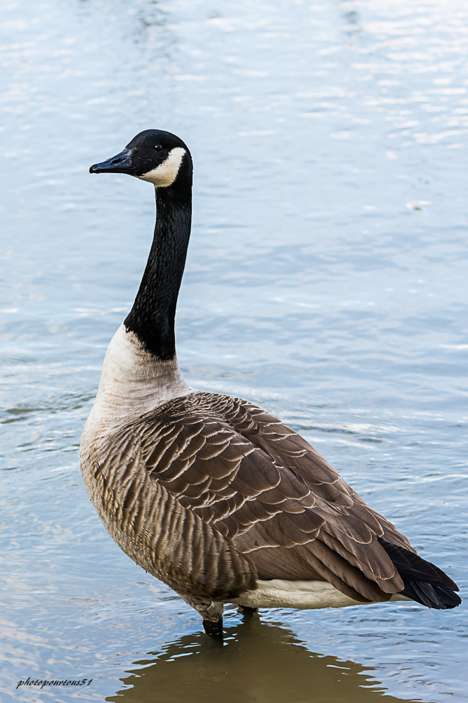 _-8.jpg.4c8ca532f0f7408da48a548602ccdb7f.jpg